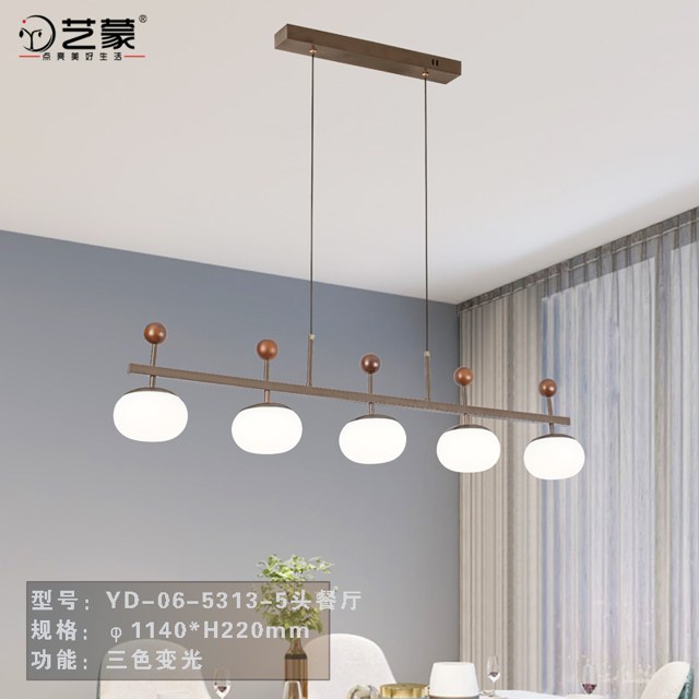 5313 餐厅灯产品图